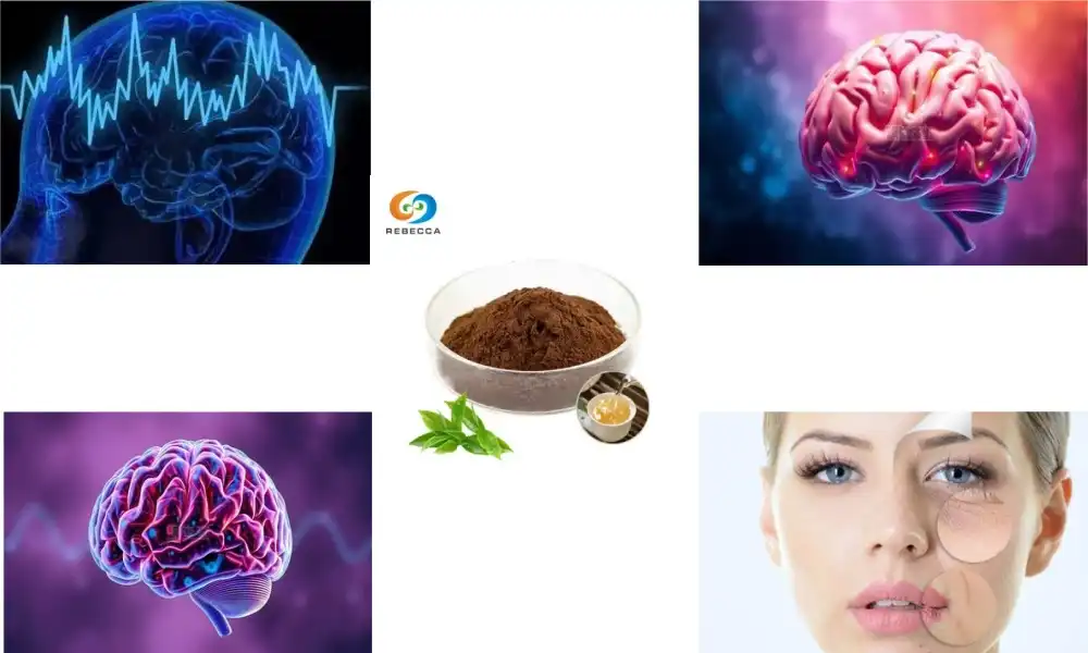 How Green Tea Extract Boosts Brain Power?
